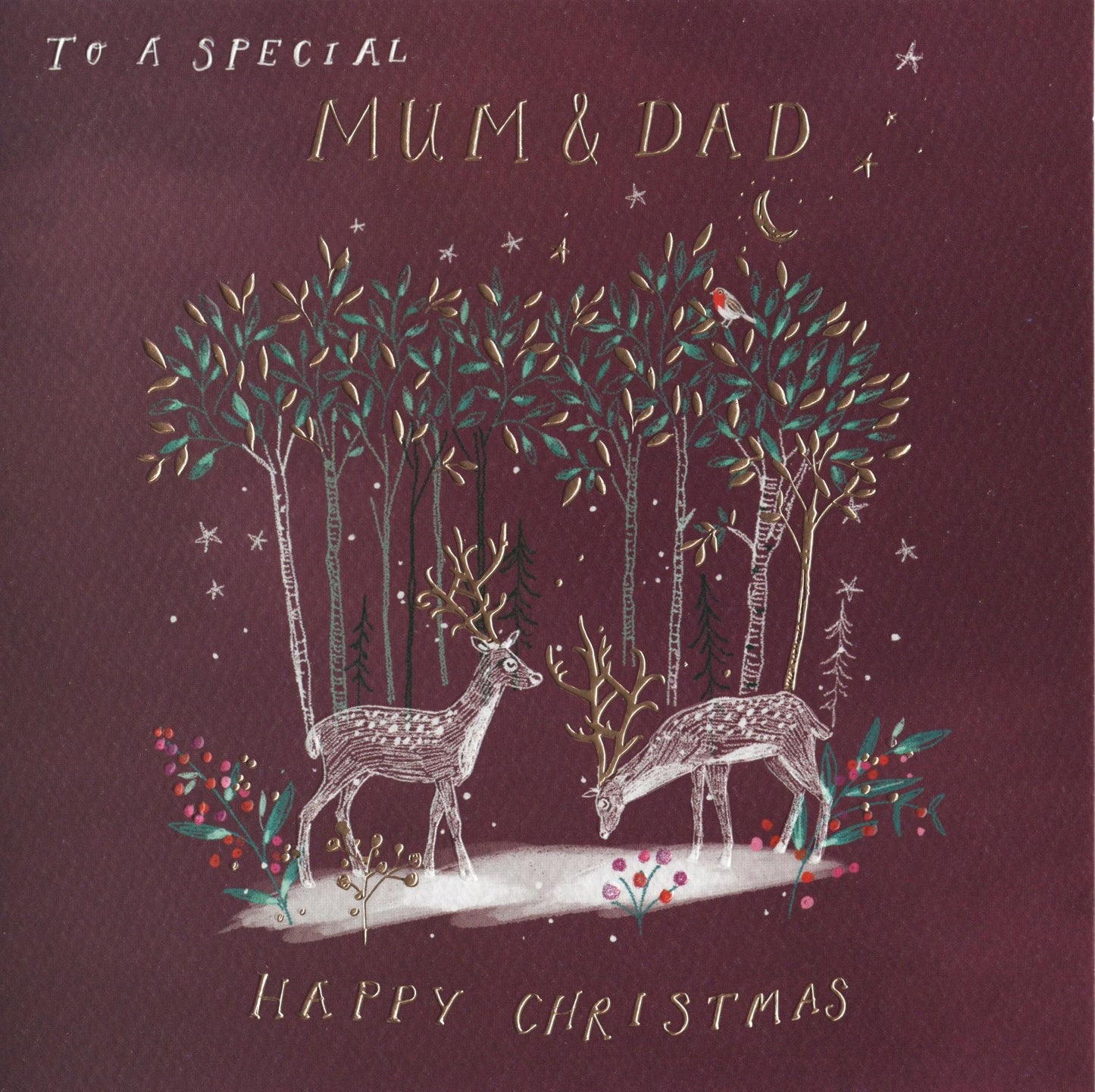 To A Special Mum & Dad Curious Inksmith Christmas Card