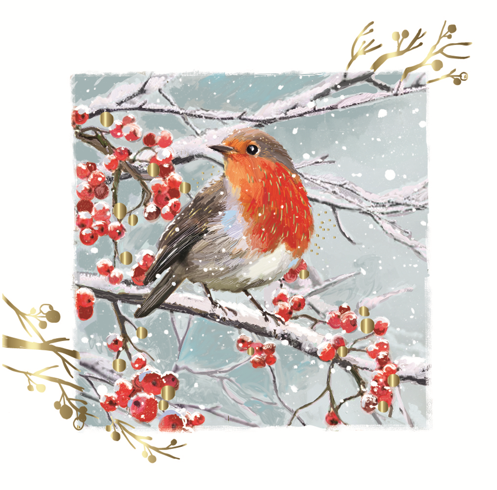 Box of 10 Robin & Berries Gold Foiled Christmas Cards