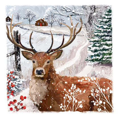 Box of 12 Country Winter Assorted Christmas Cards