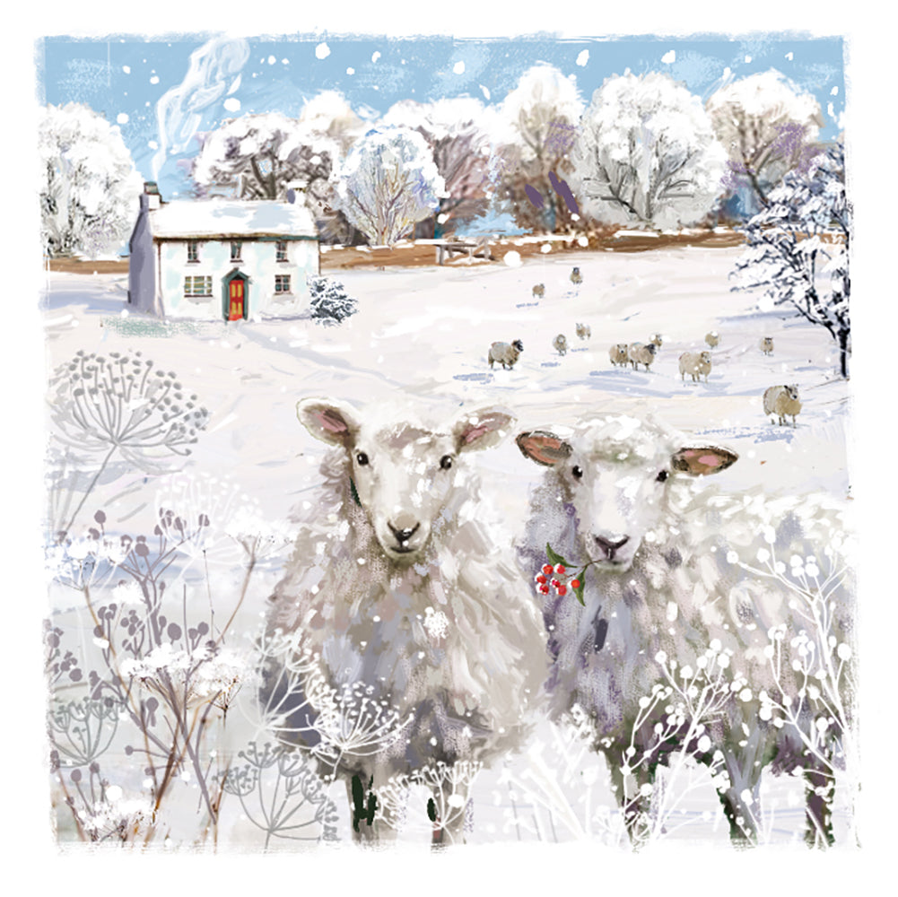 Box of 12 Country Winter Assorted Christmas Cards