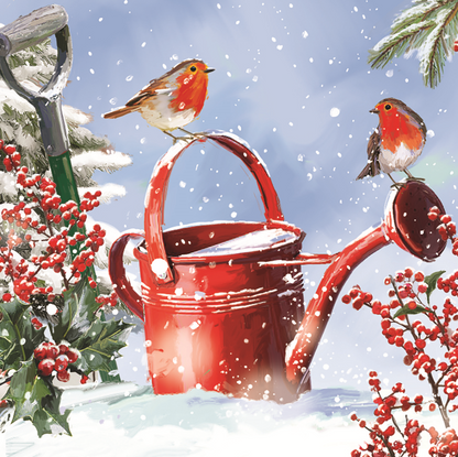 Box of 12 Snowy Festive Robins Assorted Christmas Cards