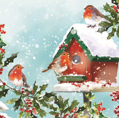 Box of 12 Snowy Festive Robins Assorted Christmas Cards