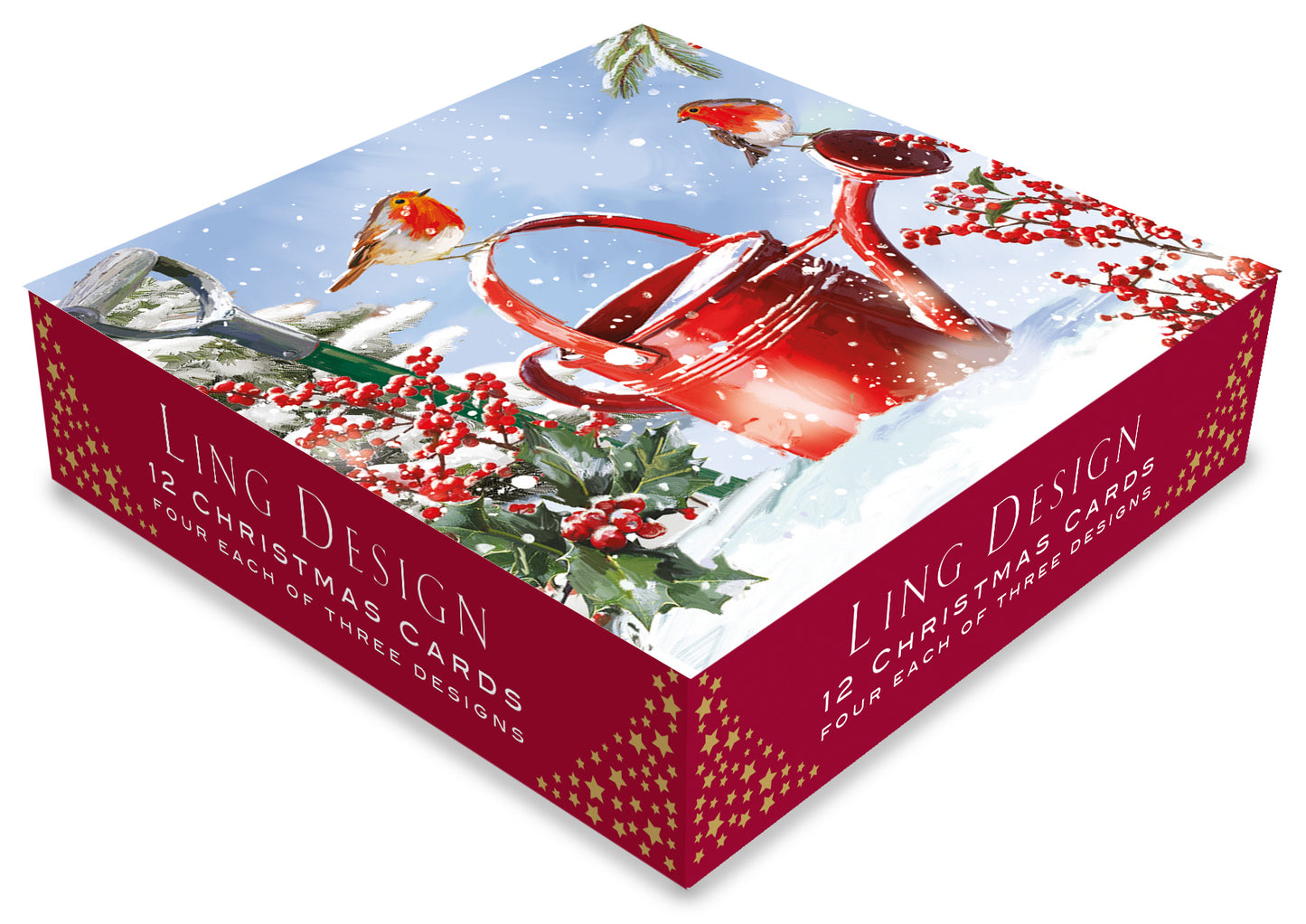 Box of 12 Snowy Festive Robins Assorted Christmas Cards