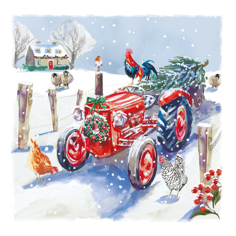 Box of 12 Festive Farm Yard Assorted Christmas Cards