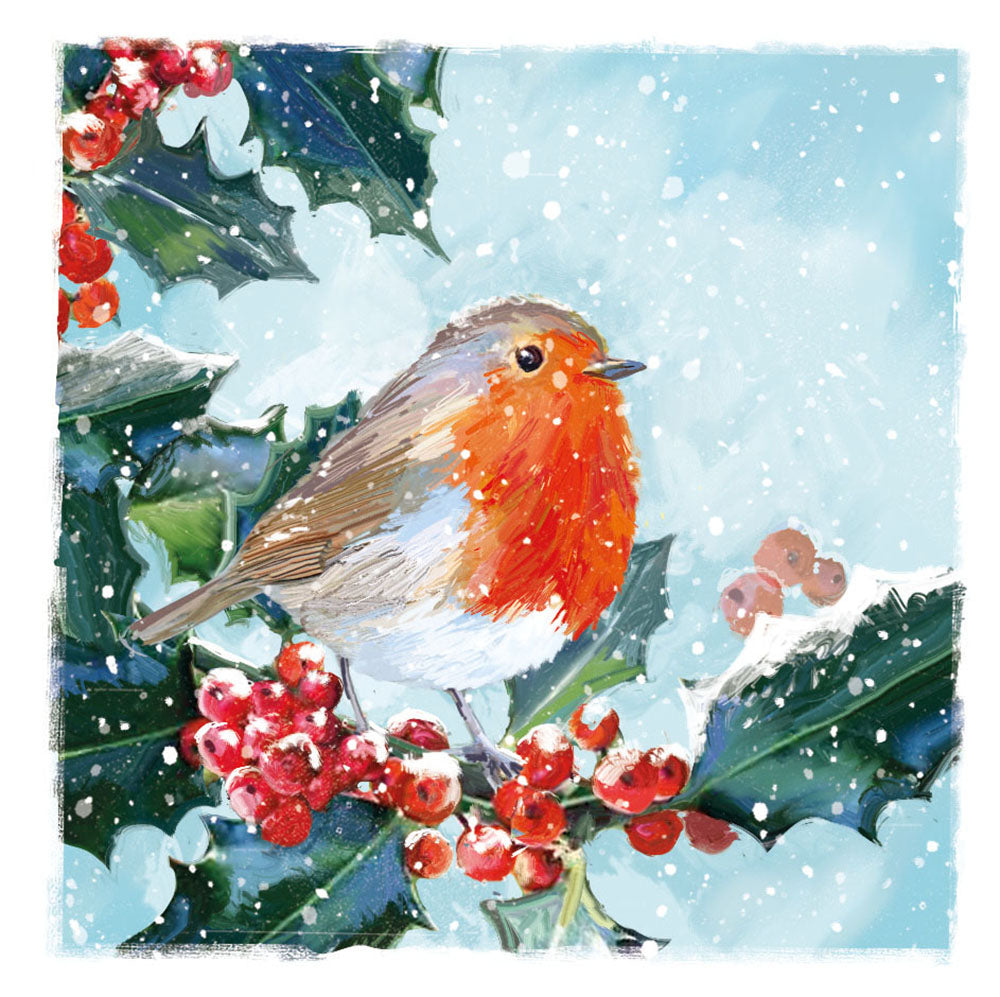 Box of 12 Winter Festive Robins Assorted Christmas Cards