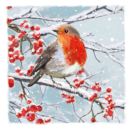 Box of 12 Winter Festive Robins Assorted Christmas Cards