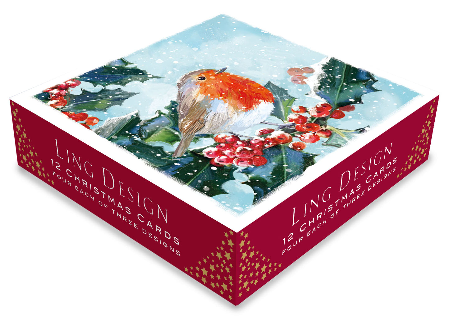 Box of 12 Winter Festive Robins Assorted Christmas Cards