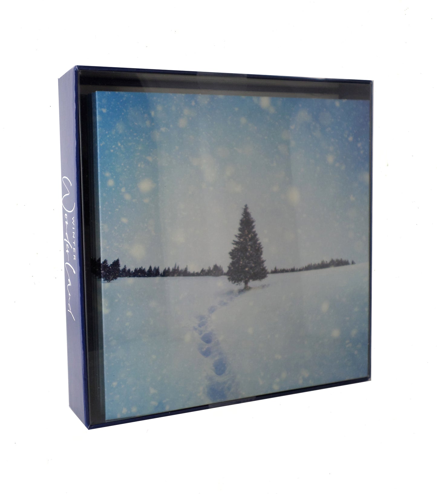 Box of 8 Winter Wonderland Christmas Cards