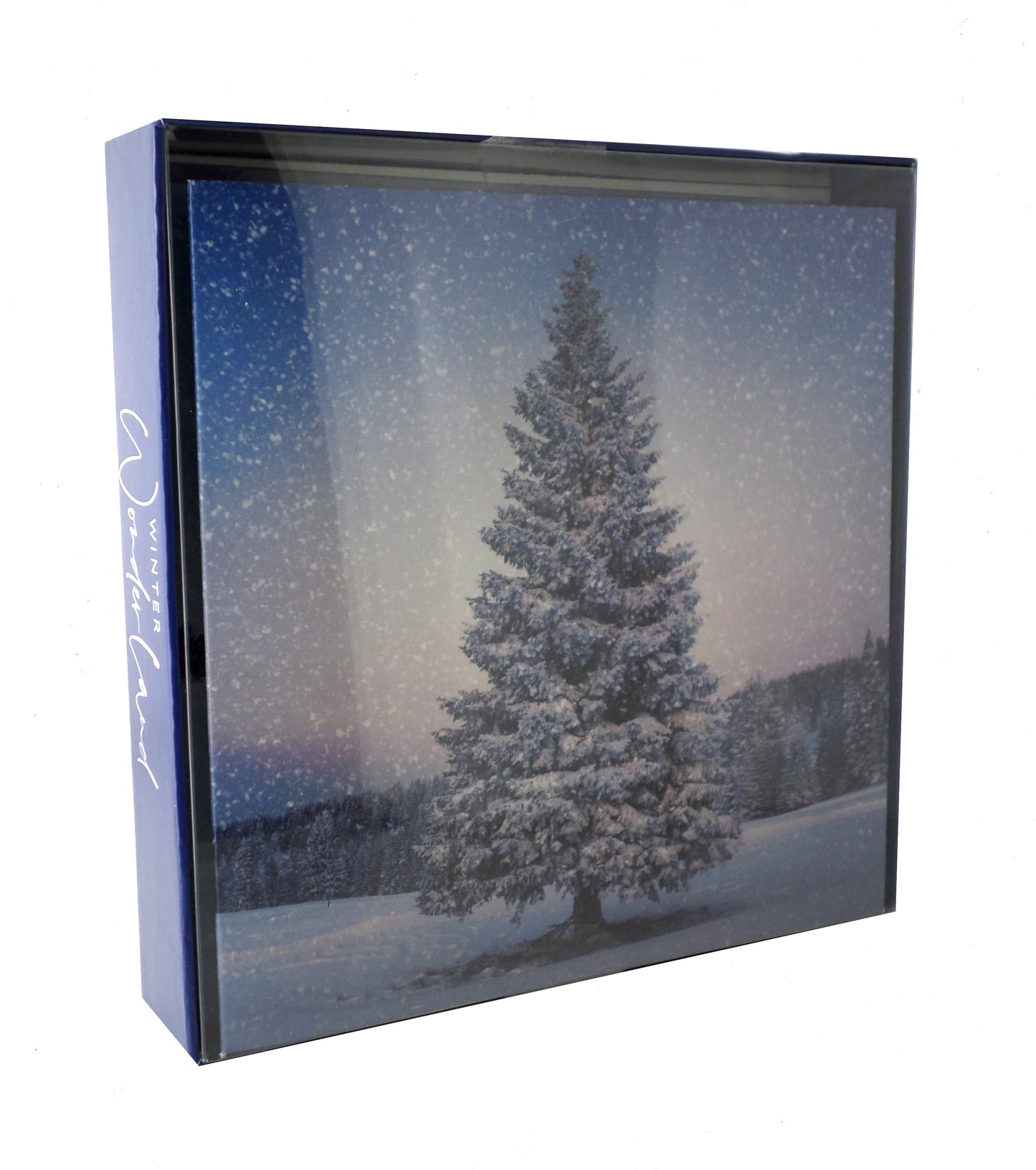 Box of 8 Winter Wonderland Christmas Cards