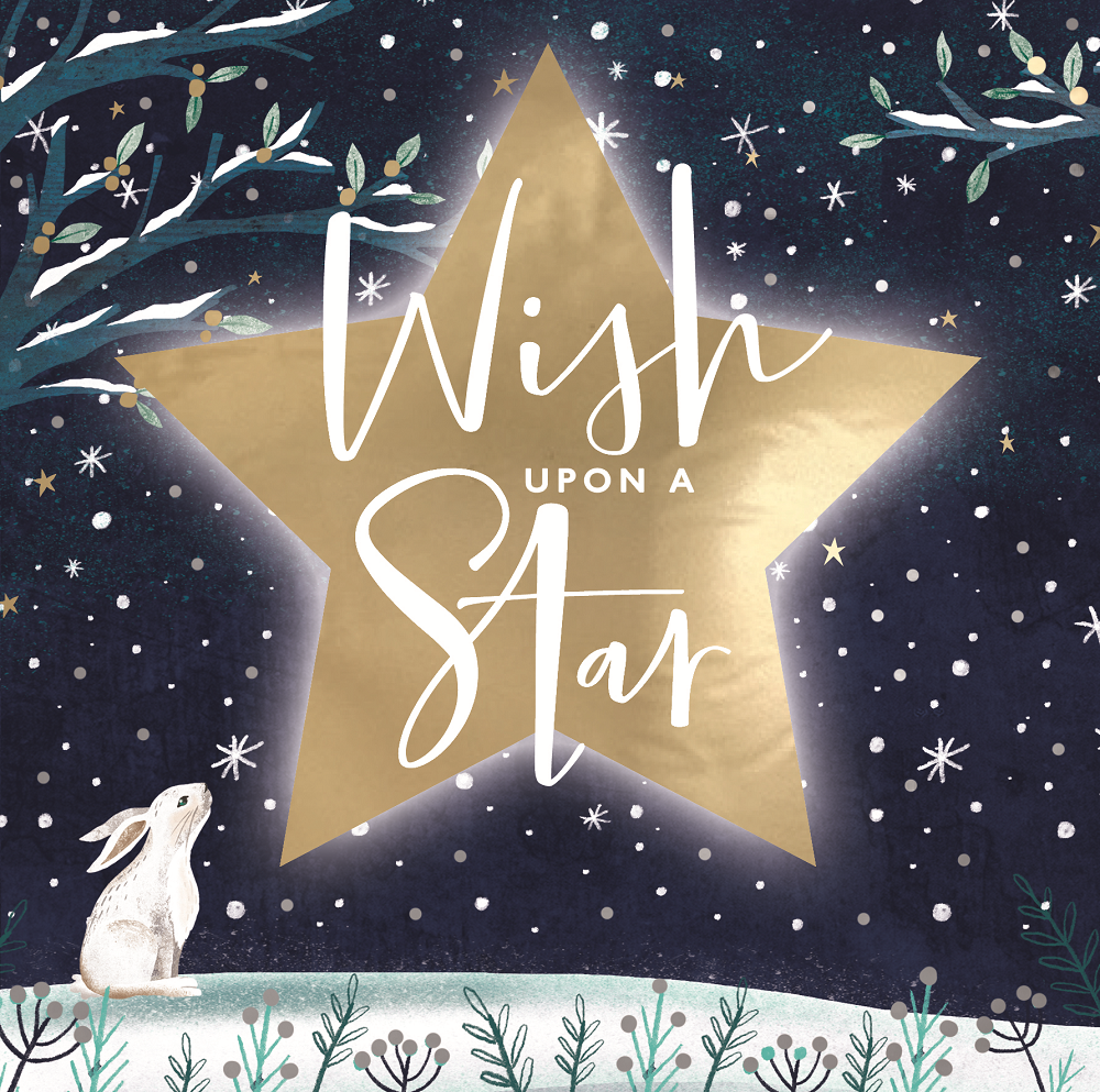 Wish Upon A Star Festive Night Hare Christmas Card